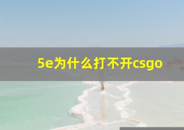 5e为什么打不开csgo