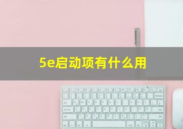 5e启动项有什么用