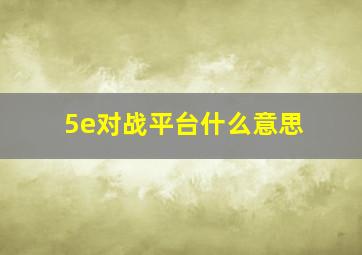 5e对战平台什么意思