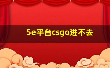 5e平台csgo进不去