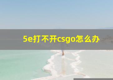 5e打不开csgo怎么办