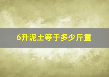 6升泥土等于多少斤重