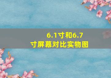 6.1寸和6.7寸屏幕对比实物图