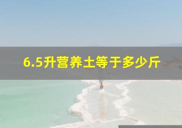 6.5升营养土等于多少斤