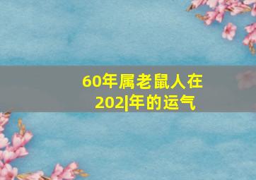 60年属老鼠人在202|年的运气