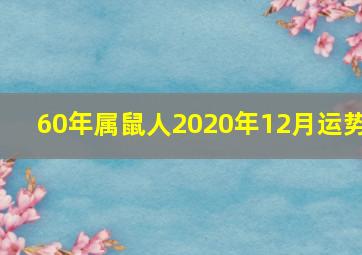 60年属鼠人2020年12月运势