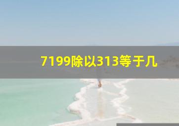 7199除以313等于几