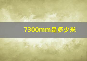 7300mm是多少米