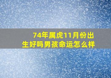 74年属虎11月份出生好吗男孩命运怎么样