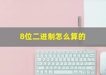 8位二进制怎么算的