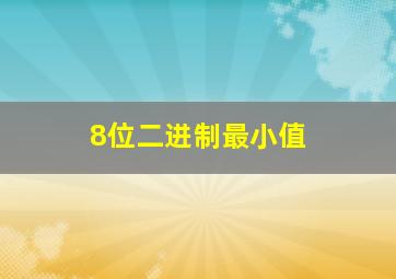 8位二进制最小值