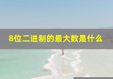 8位二进制的最大数是什么