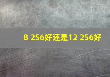 8+256好还是12+256好