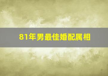 81年男最佳婚配属相