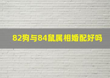 82狗与84鼠属相婚配好吗