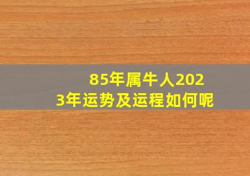 85年属牛人2023年运势及运程如何呢