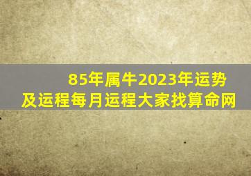 85年属牛2023年运势及运程每月运程大家找算命网