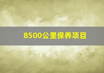 8500公里保养项目