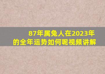 87年属兔人在2023年的全年运势如何呢视频讲解