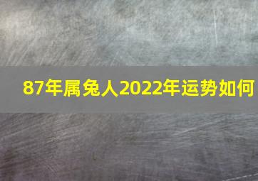 87年属兔人2022年运势如何