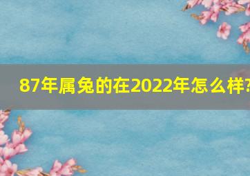 87年属兔的在2022年怎么样?