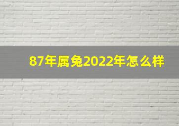 87年属兔2022年怎么样