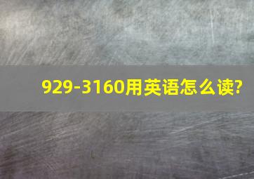 929-3160用英语怎么读?