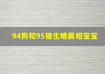 94狗和95猪生啥属相宝宝