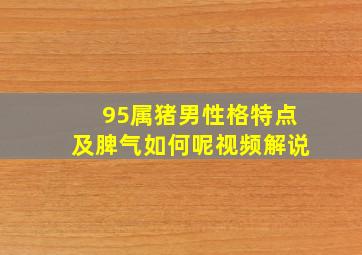 95属猪男性格特点及脾气如何呢视频解说