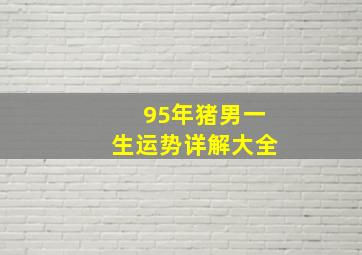 95年猪男一生运势详解大全