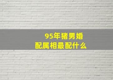 95年猪男婚配属相最配什么