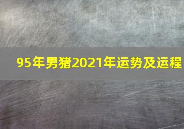 95年男猪2021年运势及运程