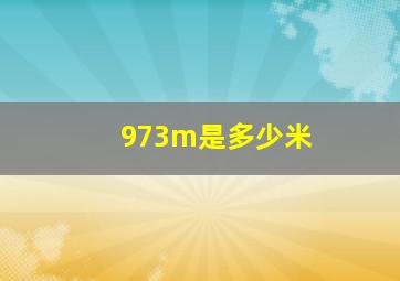 973m是多少米