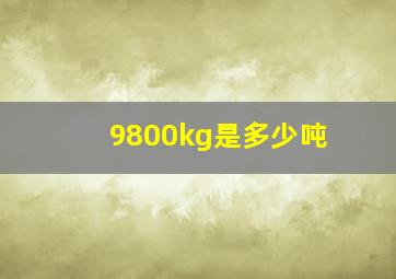 9800kg是多少吨