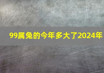 99属兔的今年多大了2024年