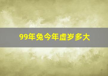 99年兔今年虚岁多大