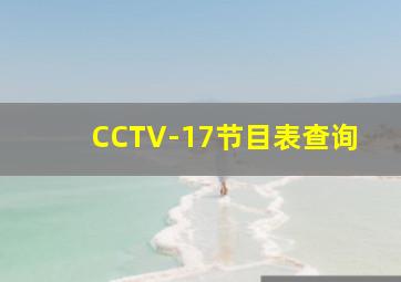 CCTV-17节目表查询