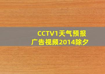 CCTV1天气预报广告视频2014除夕