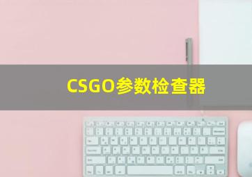 CSGO参数检查器