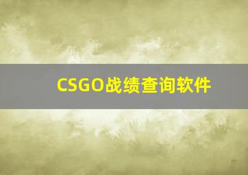 CSGO战绩查询软件