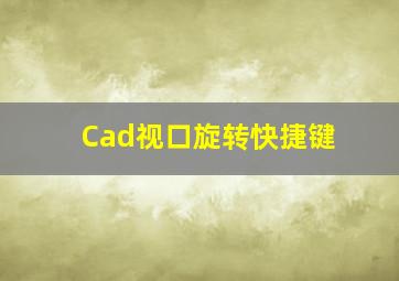 Cad视口旋转快捷键