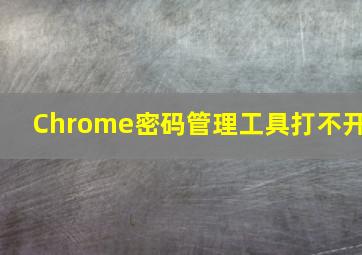 Chrome密码管理工具打不开