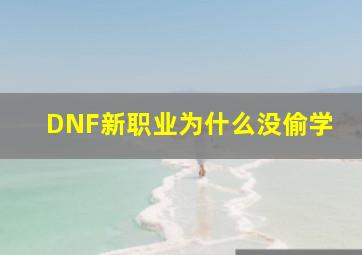 DNF新职业为什么没偷学