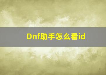 Dnf助手怎么看id