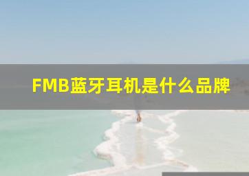 FMB蓝牙耳机是什么品牌