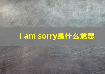 I am sorry是什么意思