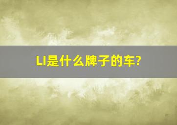 LI是什么牌子的车?