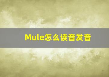 Mule怎么读音发音