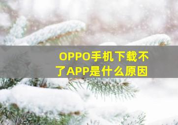 OPPO手机下载不了APP是什么原因