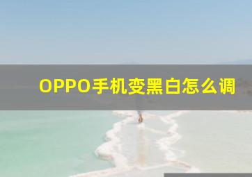 OPPO手机变黑白怎么调